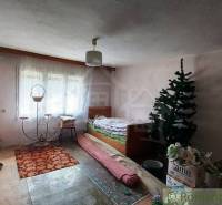 Room with a bed, artificial tree, and antique furnishings in a family house.