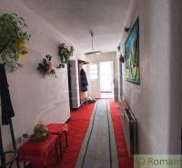 A narrow hallway in a family house with carpets, paintings, and coat racks.