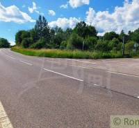 A winding road, surrounded by greenery, leads to recreational grounds with lush nature.