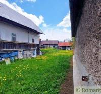 A village cottage with two buildings, a meadow, and flowers. Unique properties.