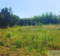 A grassy area surrounded by trees, ideal for residential plots.
