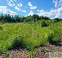 A beautiful green plot surrounded by nature, ideal for living.