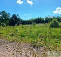 A spacious plot suitable for living, surrounded by nature and greenery, with a visible road.