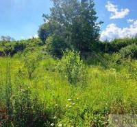 Greenery on a plot with a view of living, surrounded by nature and blue sky.