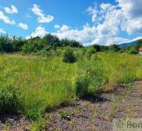 A wide meadow with plots, ideal for living, bordered by green trees and a blue sky.