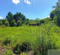 Spacious plot with lush vegetation, ideal for living in nature.