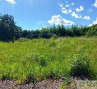 Green residential land in a natural environment, suitable for land development.