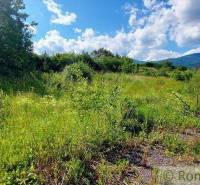 A plot with a view of the forest, ideal for countryside living, in beautiful nature.