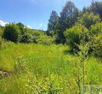 Greenery and land: a meadow in the countryside, ideal for living, sunny day.