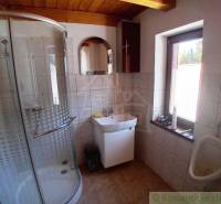 A bathroom with wooden paneling, a shower, and a sink in a cozy cabin.