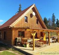 A wooden cabin with a gable roof and a terrace in a natural setting.