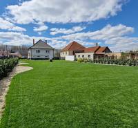 The garden of a family house in the town of Sap surrounded by houses and a blue sky.