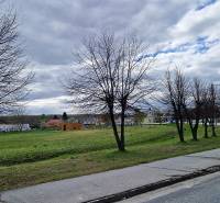 A road and trees in the village of Sap next to family houses.