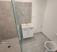 A bathroom in a 3-room apartment with a toilet, shower, and sink.