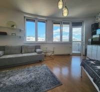 Living room with a sofa, carpet, and large windows in a studio apartment.
