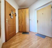 Hallway of a one-bedroom apartment with a built-in wardrobe, wooden doors, and parquet flooring.