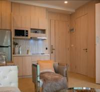 Compact kitchen and cozy living area in a 2-room apartment.