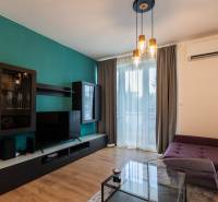 Living room in a 3-room apartment with a TV, sofa, and green wall.