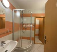 A bathroom with a shower and a sink in a 3-room apartment.
