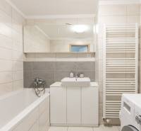 Bathroom in a 2-room apartment with a bathtub, sink, mirror, and washing machine.
