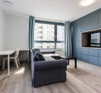 Living room with a sofa, television, and a large window in a 2-room apartment.