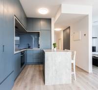 Kitchen and dining area in a 2-room apartment with wooden flooring and blue cabinets.