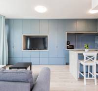 Living room and kitchen in a 2-room apartment, with blue cabinets and light furniture.