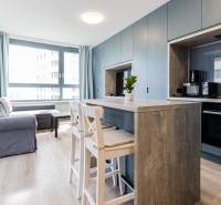 Bright living space with a kitchenette, bar stools, and a large window.
