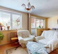 A family house with comfortable furniture, plants on the windowsill, and a dominant chandelier.