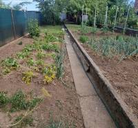 The garden of a family house on Vysoká Street in Holíč with cultivated vegetables and trees.
