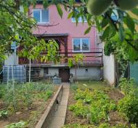 Garden with fruit trees behind the family house on Vysoká Street in Holíč.