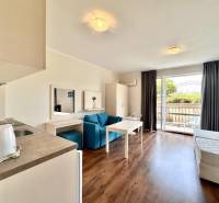 Interior of a holiday apartment with a kitchenette, living room, and access to a terrace.