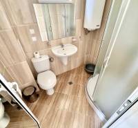 Bathroom in a holiday apartment with a toilet, shower, and sink.