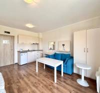 A recreational apartment with wooden flooring, a kitchenette, and a sofa offers a cozy place to relax.
