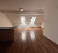 Attic space in a 3-room apartment with wooden flooring and skylights.