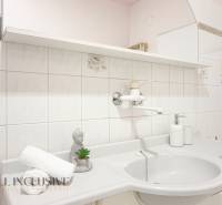 Family house bathroom with a sink, socket, and decoration on the shelf.