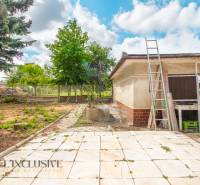 The courtyard of a family house in Žihárec with ladders and illuminated trees in the background.