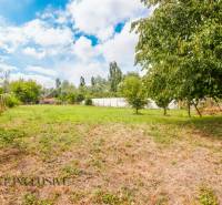 Spacious courtyard surrounded by greenery, family house in Žihárec.