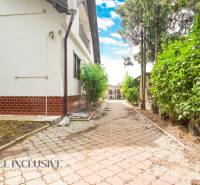 View from the courtyard of a family house in Žihárec, with paving and green shrubs.