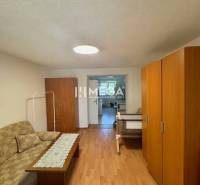 Living room in a studio apartment with wooden flooring and a couch.