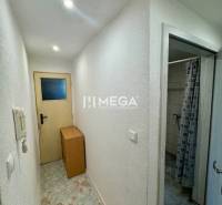 A narrow hallway in a one-room apartment with a door to the bathroom on the right.