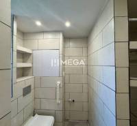 Bathroom in a studio apartment with a wall-mounted toilet and ceramic tiles.