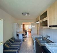 A kitchen with a sink, a sofa, and a passage to a room in a studio apartment.
