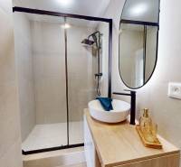 Bathroom with a shower, a countertop sink, and a mirror in a 3-room apartment.