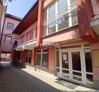 Commercial premises in Brezno, courtyard between buildings with entrance and windows on the upper floor.