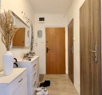 Hallway in a 2-room apartment with wooden doors, a white cabinet, and a mirror.