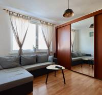 Living room in a two-room apartment with a comfortable sofa, coffee table, and a large wardrobe.
