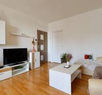 Living room in a two-room apartment with a television, wooden floor, and sofa.
