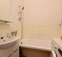 Bathroom in a 2-room apartment with a shower, sink, and washing machine.