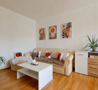 Living room in a two-room apartment with a sofa, table, and plants on the floor.